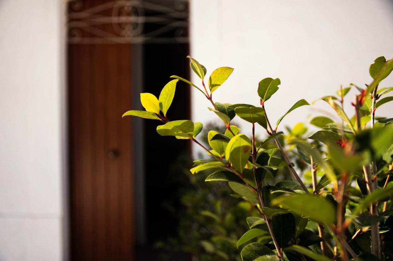 Bed and Breakfast Trulli Donna Isabella Locorotondo Exterior foto