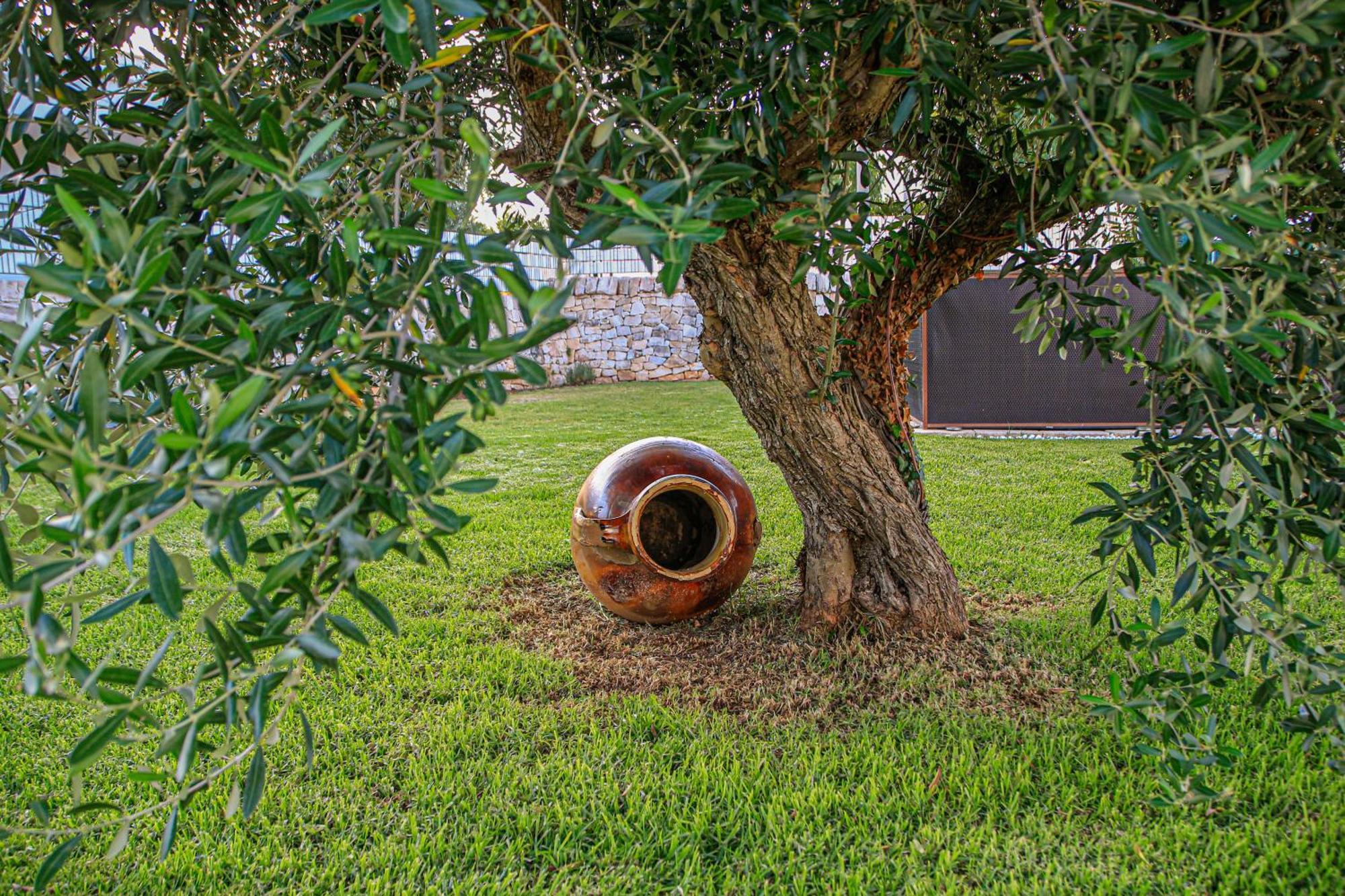 Bed and Breakfast Trulli Donna Isabella Locorotondo Exterior foto